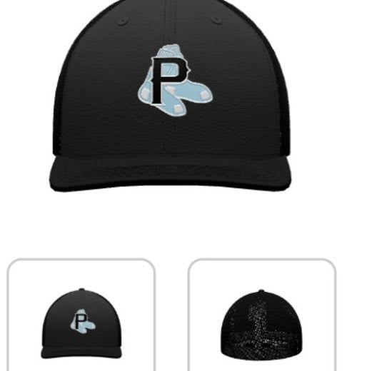 Fitted Trucker Hat - Blue Sox Black & Carolina Blue